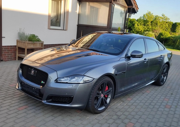 Jaguar XJR cena 179000 przebieg: 40700, rok produkcji 2016 z Oborniki małe 277